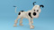 video icon